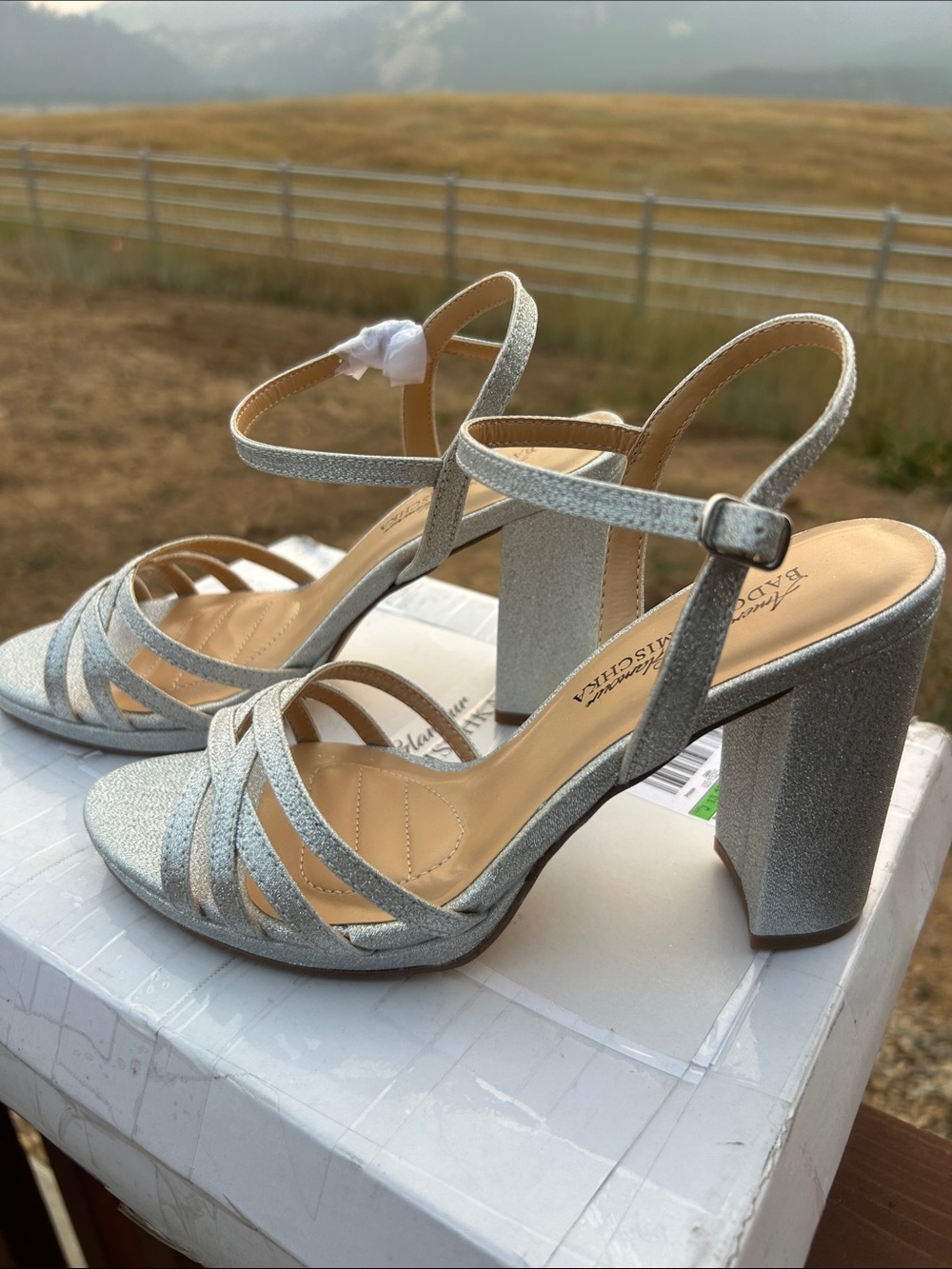 Badgley Mischka Kyleen Silver Glitter Block Heel Sandals - Picture 5 of 12